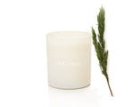 URBAN FOREST  | ESSENTIAL OIL CANDLE